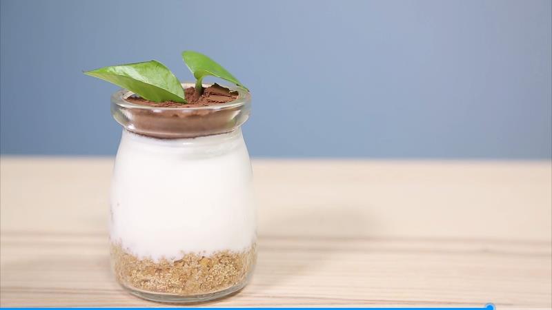 酸奶盆栽美食宣傳片，好吃又好做的創(chuàng)意甜品