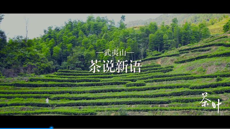 武夷山茶葉品牌宣傳片《茶說新語(yǔ)》，注入了一泓生命的清泉