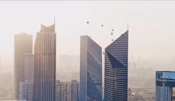 京東科技：數(shù)字未來(lái)，創(chuàng)新引領(lǐng)