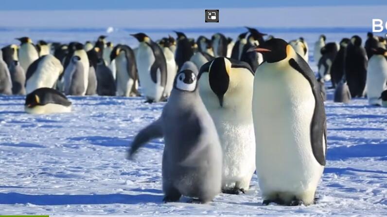 京東方科技集團股份有限公司：科技之光 照亮未來