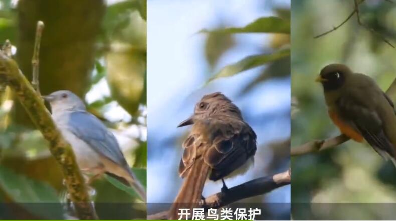 正谷Sustainable Coffee，用愛和熱情，開啟每一天