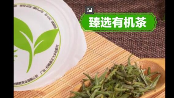 口袋杯茶：品質(zhì)生活的精致享受