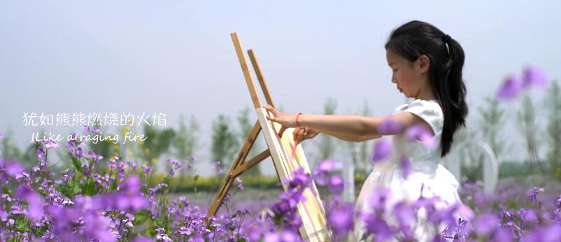 貝爾福特宣傳片——品牌宣傳片的代表